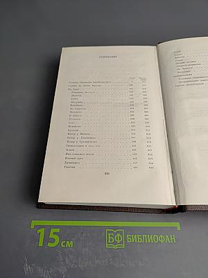 Собрание сочинений. Том четырнадцатый: Повесть. Рассказы 1912 - 1917