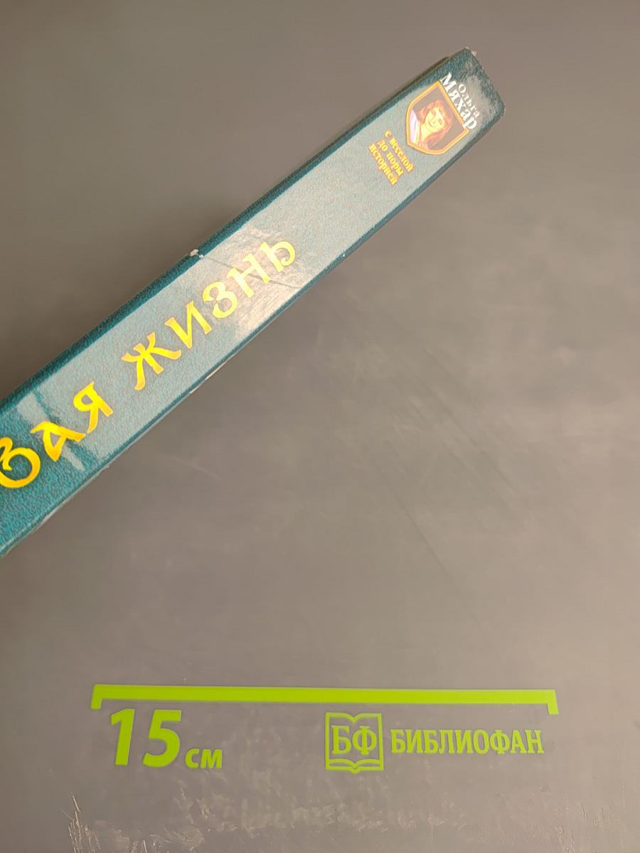 Новая жизнь