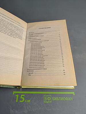Энциклопедия для кошек и их хозяев. Советы на каждый день