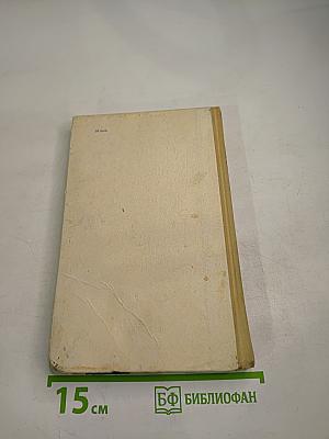 Как себя вести