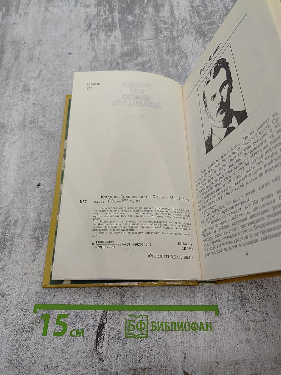 Когда им было двадцать. Книга вторая