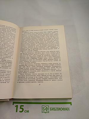 Дом на площади. Синяя тетрадь. Рассказы и очерки. Том 2