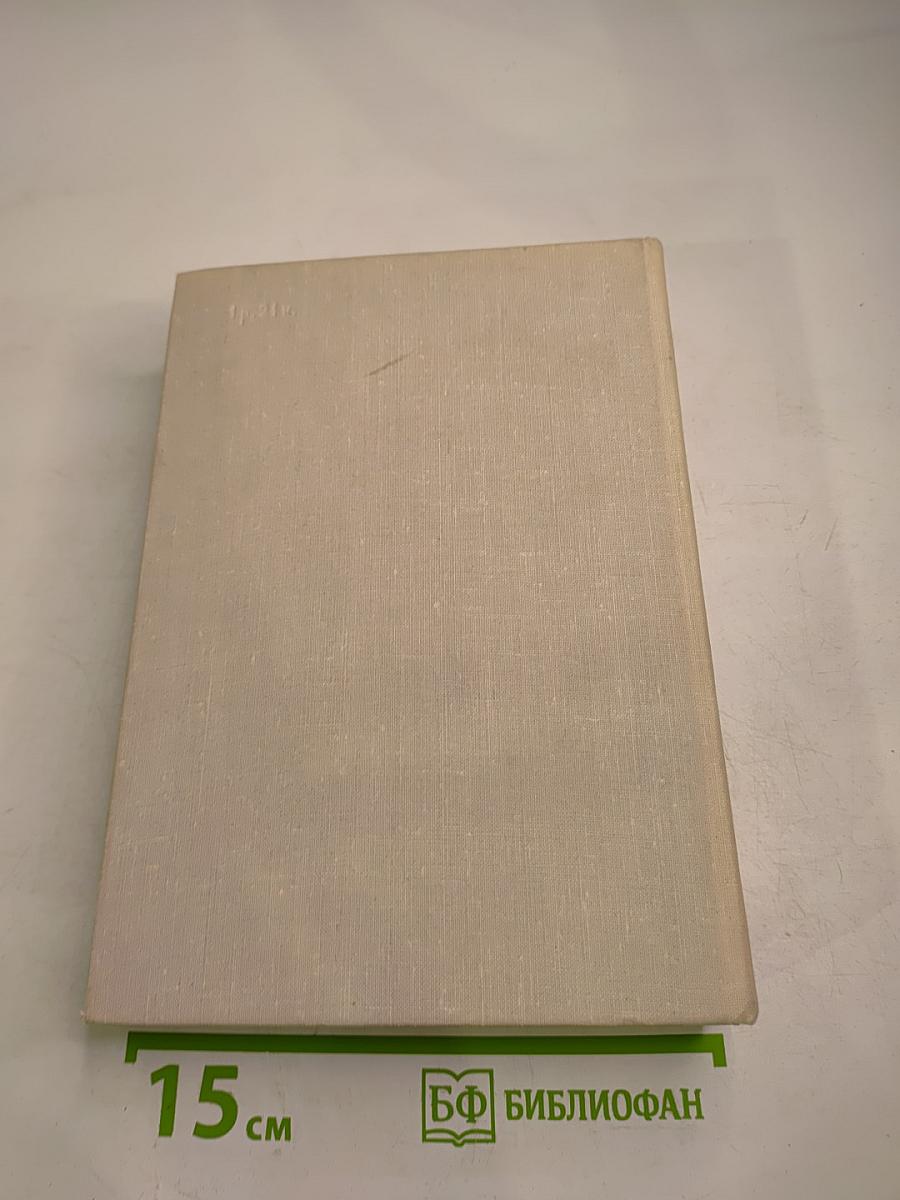 Дом на площади. Синяя тетрадь. Рассказы и очерки. Том 2