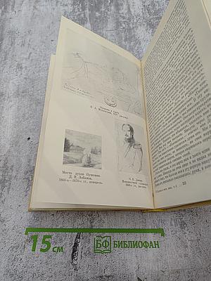 А. С. Пушкин в воспоминаниях современников. Том второй