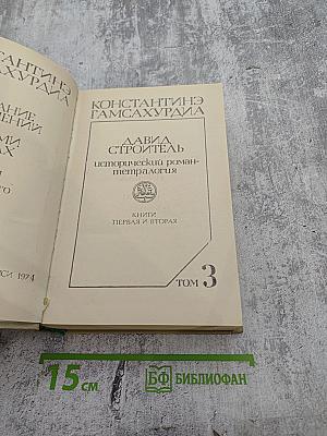Давид Строитель. Книги Первая и Вторая. Том 3