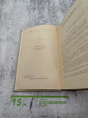 Давид Строитель. Книги Первая и Вторая. Том 3