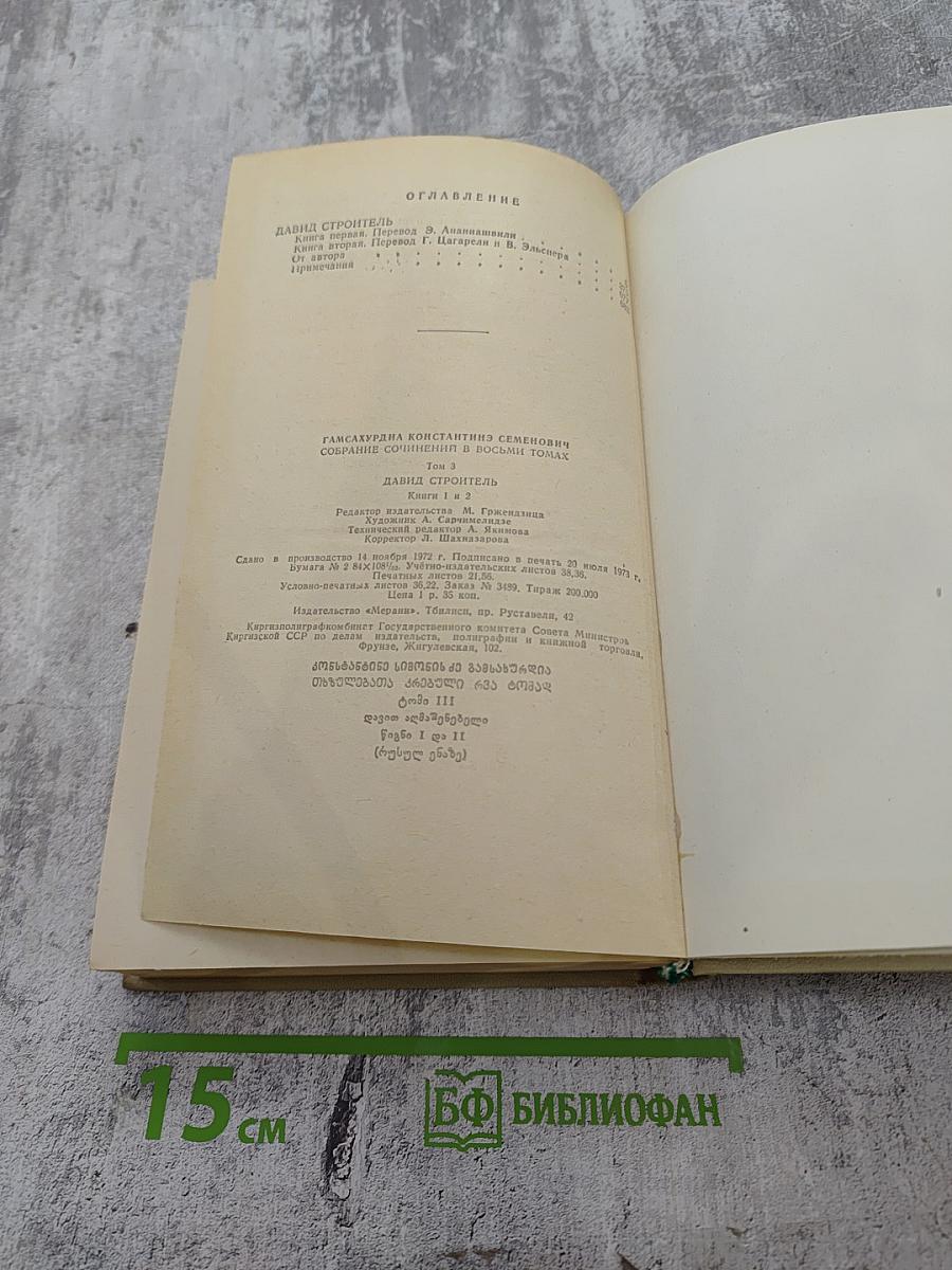 Давид Строитель. Книги Первая и Вторая. Том 3