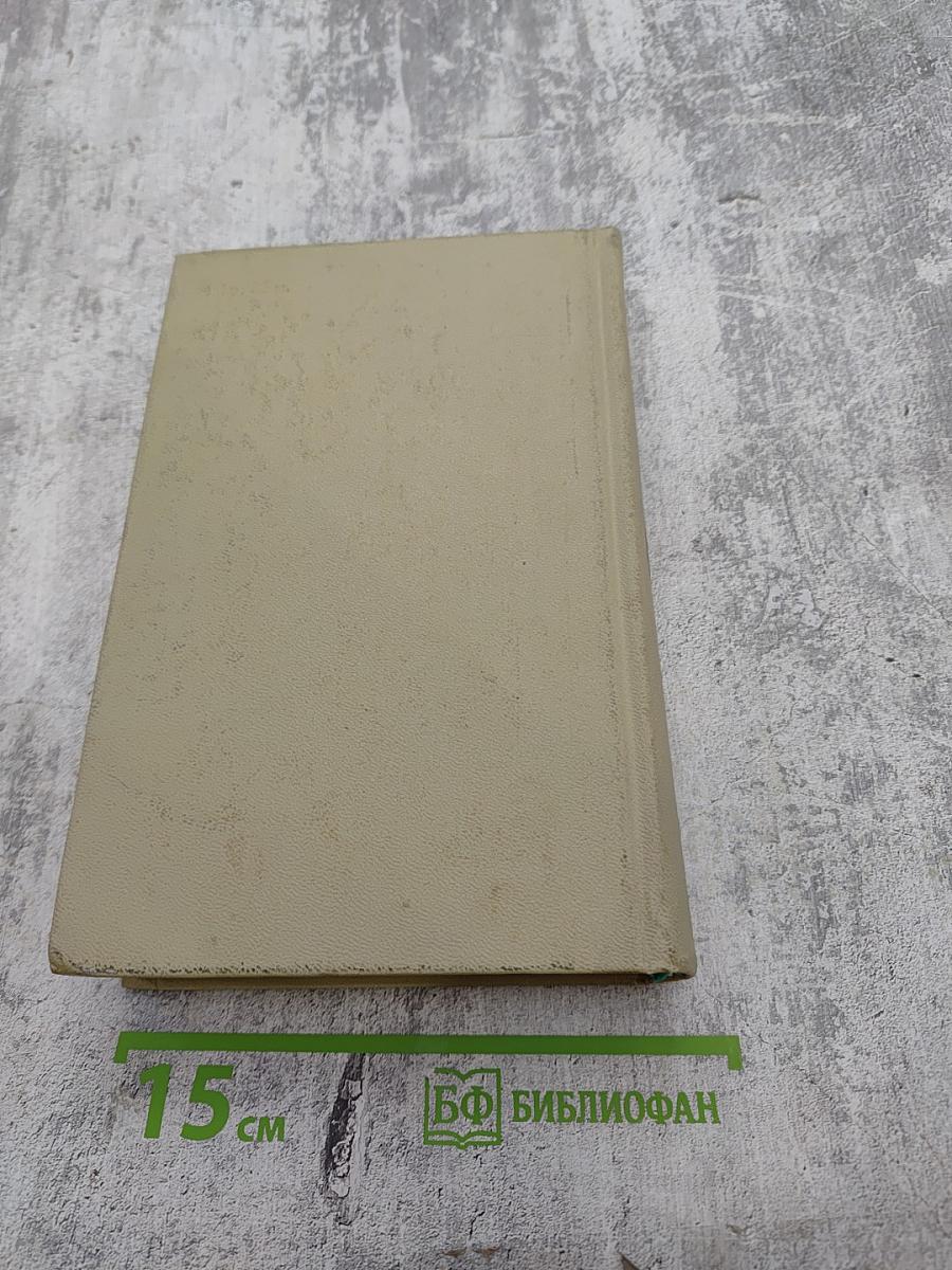 Давид Строитель. Книги Первая и Вторая. Том 3