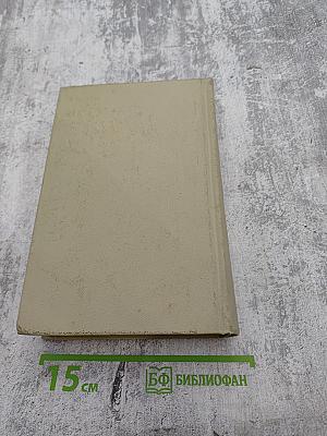 Давид Строитель. Книги Первая и Вторая. Том 3