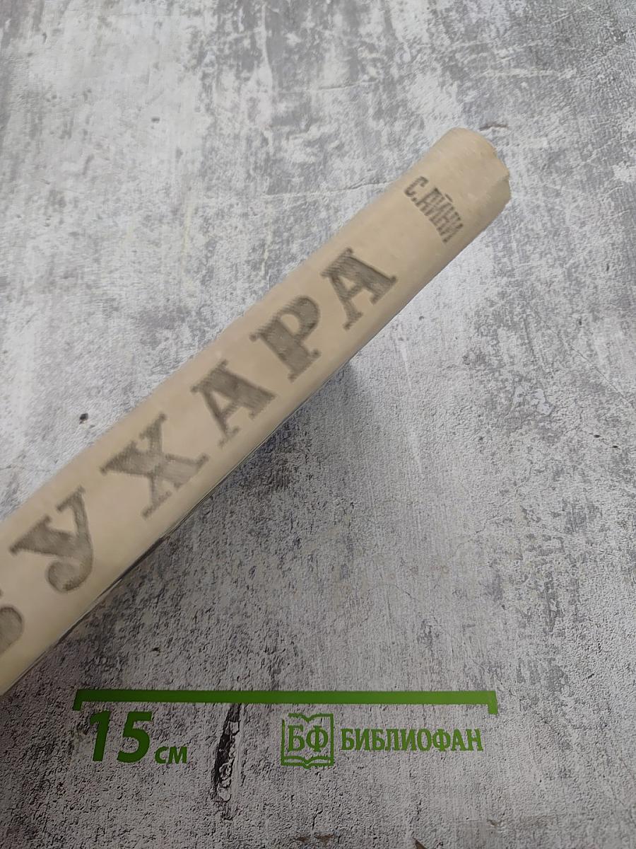 Бухара [Воспоминания] в двух книгах. Книга 1