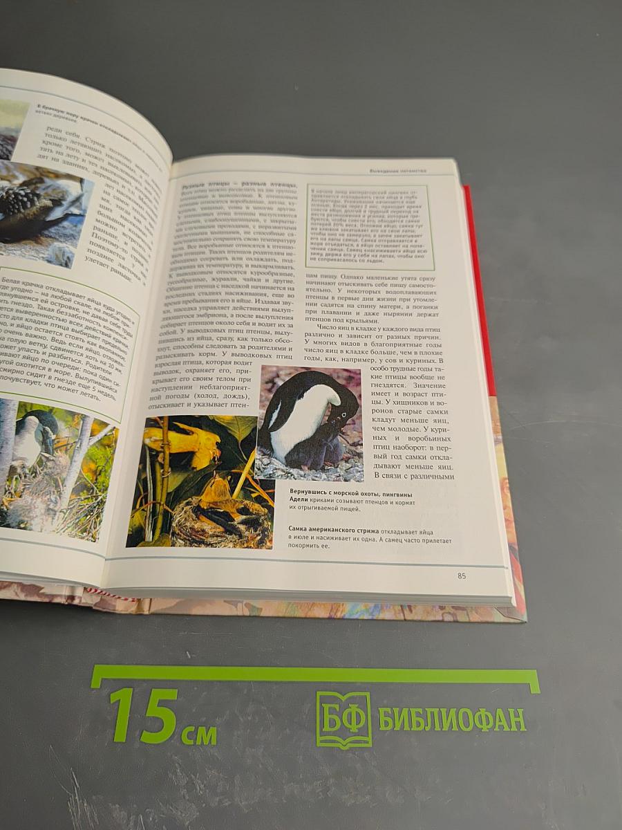 Большая иллюстрированная энциклопедия. Том 23: Пуш-рок