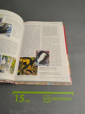 Большая иллюстрированная энциклопедия. Том 23: Пуш-рок