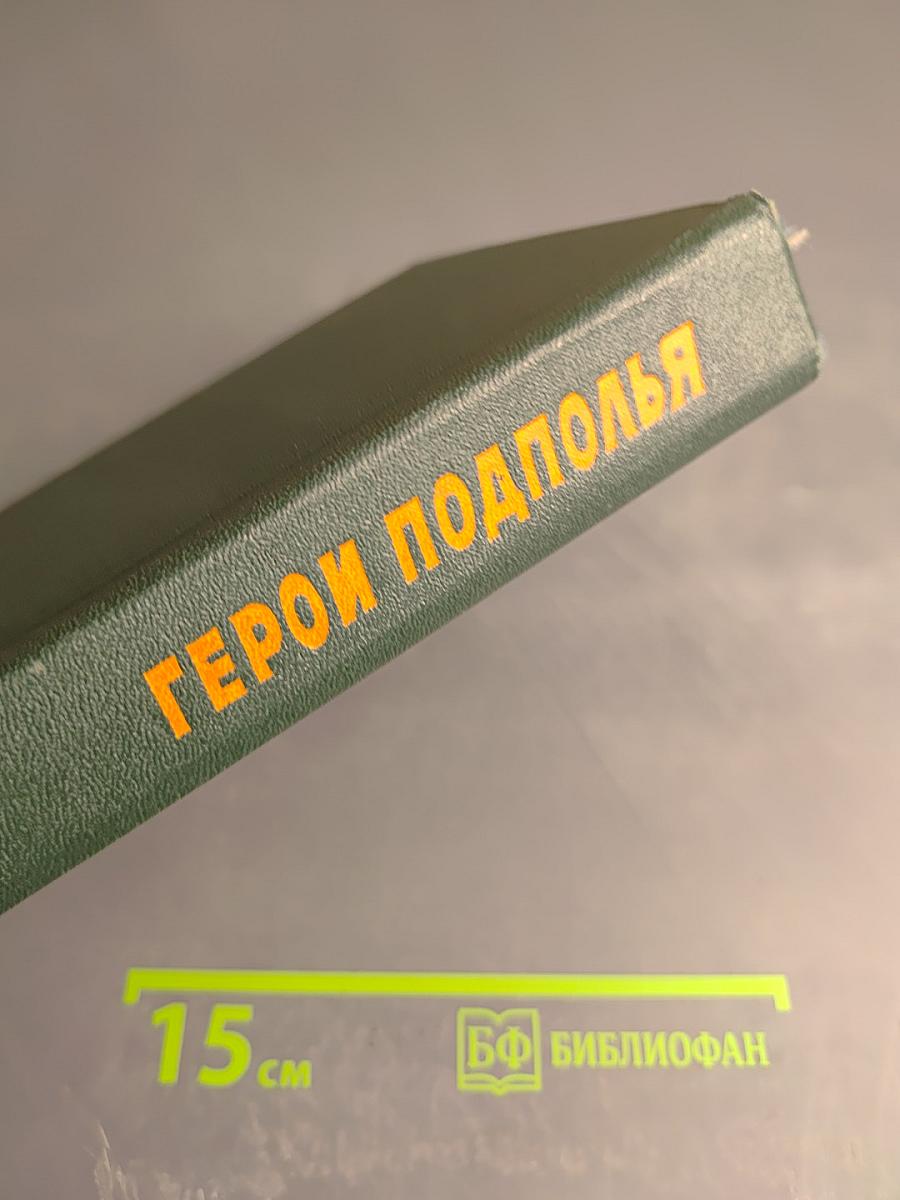 Герои подполья