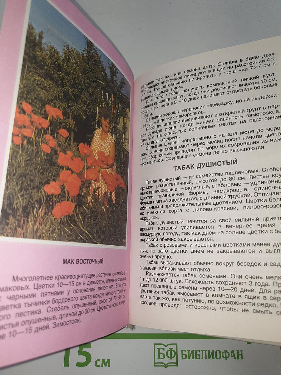 Цветы в саду