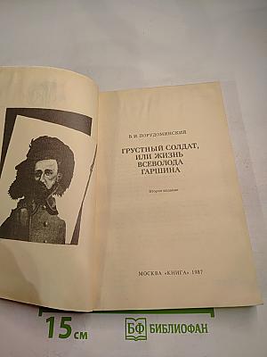 Грустный солдат, или Жизнь Всеволода Гаршина