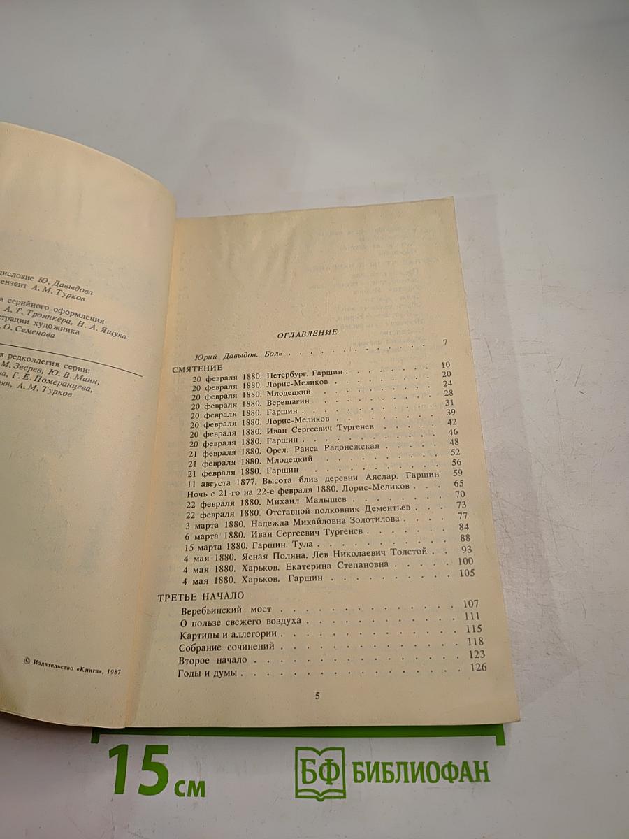 Грустный солдат, или Жизнь Всеволода Гаршина