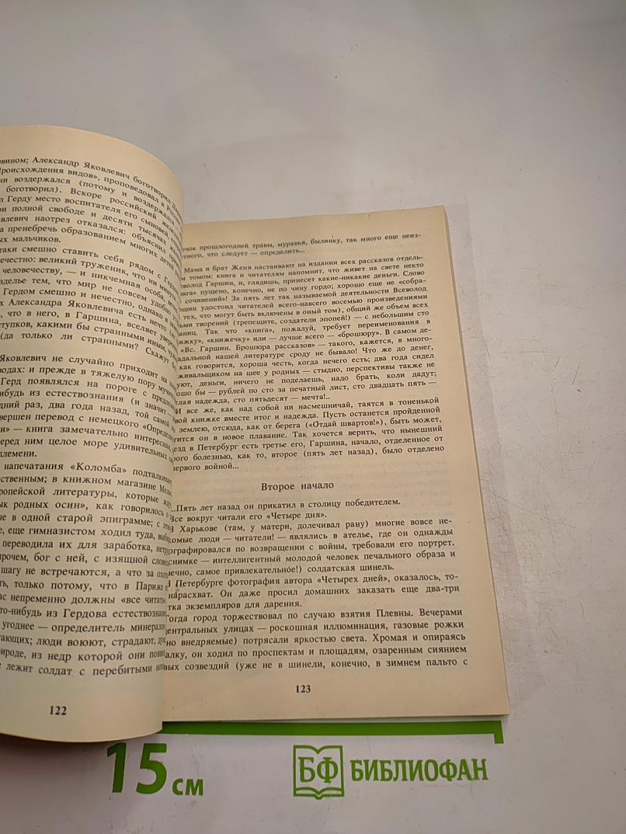 Грустный солдат, или Жизнь Всеволода Гаршина
