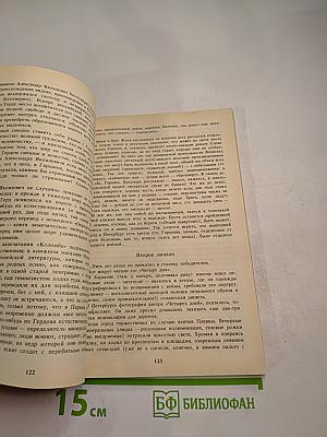 Грустный солдат, или Жизнь Всеволода Гаршина