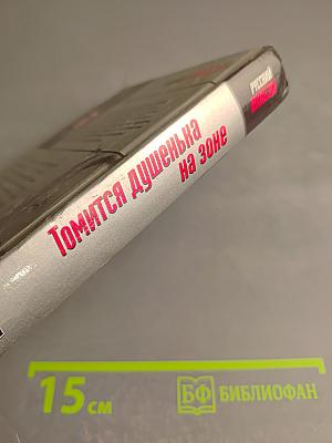 Томится душенька на зоне