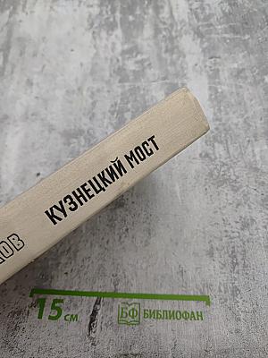 Кузнецкий мост. Книга вторая