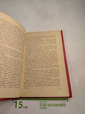 Правофланговые