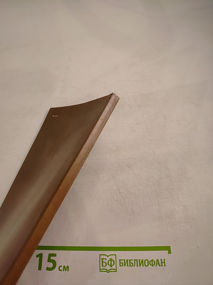 Дѣло Игуменьи Митрофании