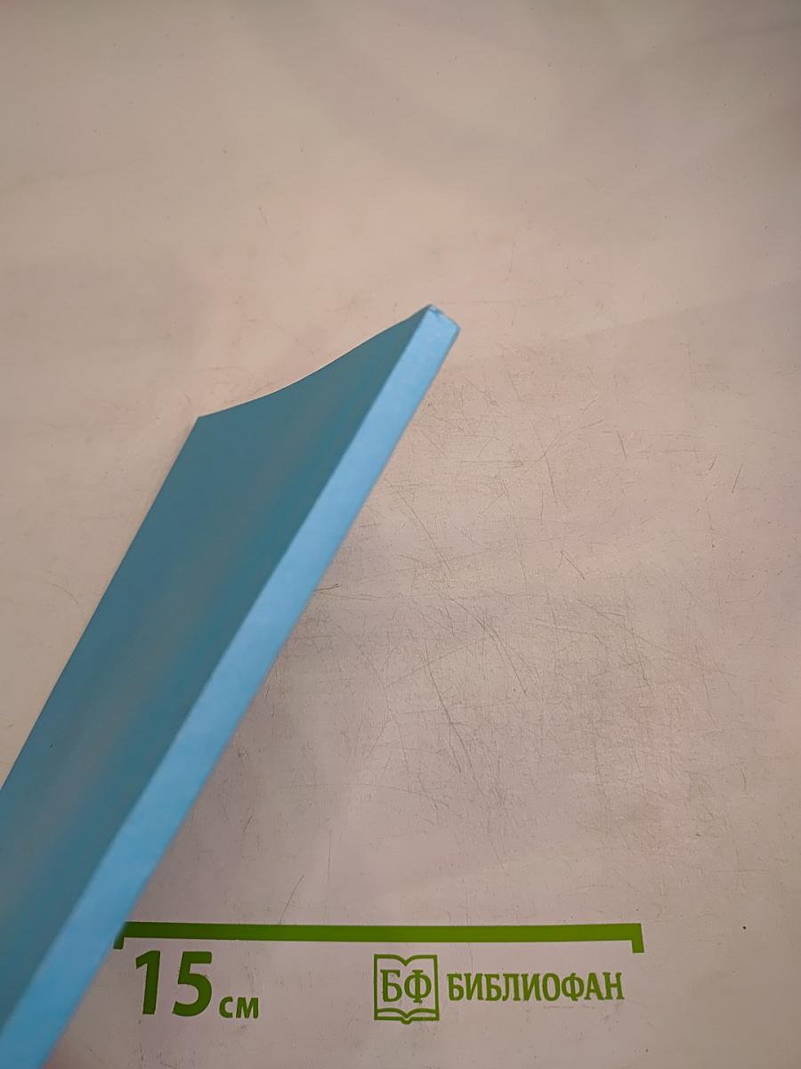 Долгосрочная финансовая политика