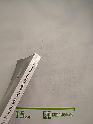 Все ли мы знаем о Пушкине?