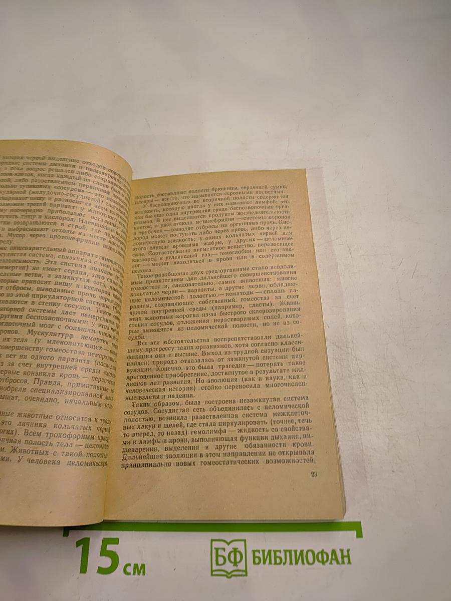 Жизнь и сосуды