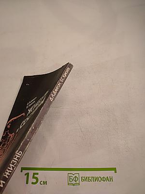 Жизнь и сосуды