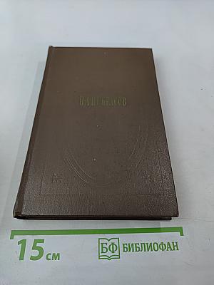 Собрание сочинений. Том второй. Стихотворения и поэмы (1861-1877)