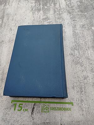 Избранные произведения. Том второй. Повесть о братьях Тургеневых. Черный консул