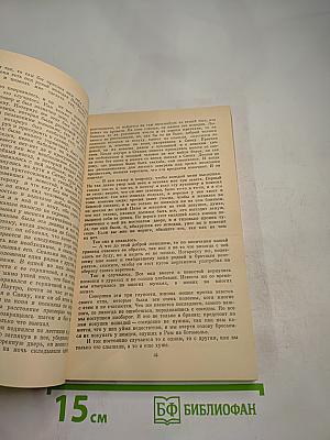 Итальянская новелла Возрождения