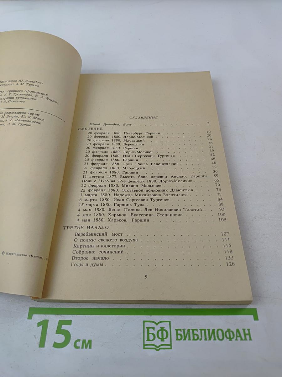 Грустный солдат, или Жизнь Всеволода Гаршина