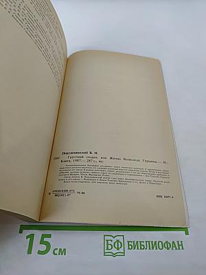 Грустный солдат, или Жизнь Всеволода Гаршина