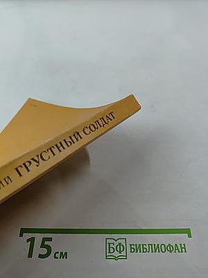 Грустный солдат, или Жизнь Всеволода Гаршина