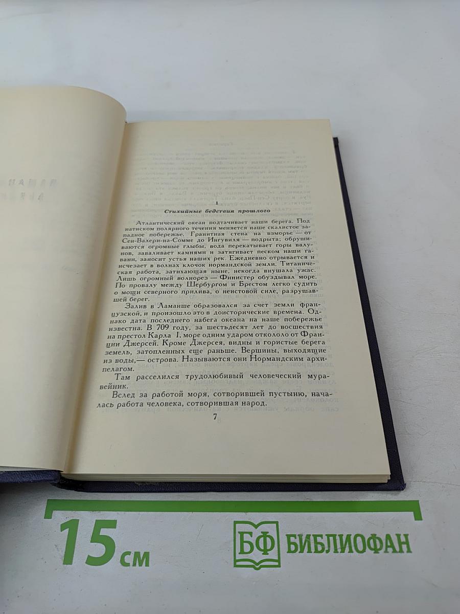 Собрание сочинений в десяти томах. Том 8