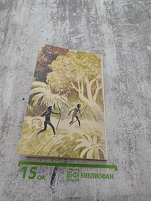 Робинзон Крузо. Книга первая