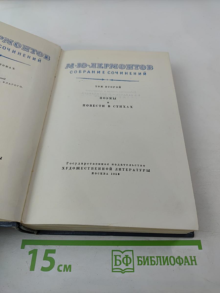 Собрание сочинений. Том 2. Поэмы и повести в стихах
