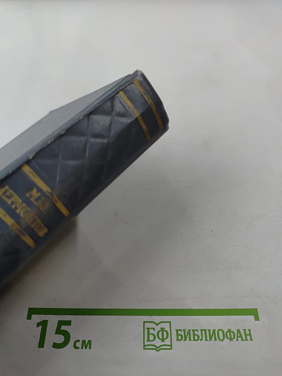 Собрание сочинений. Том 2. Поэмы и повести в стихах