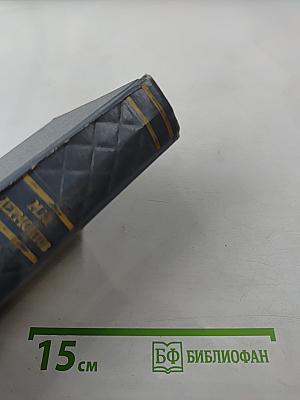 Собрание сочинений. Том 2. Поэмы и повести в стихах