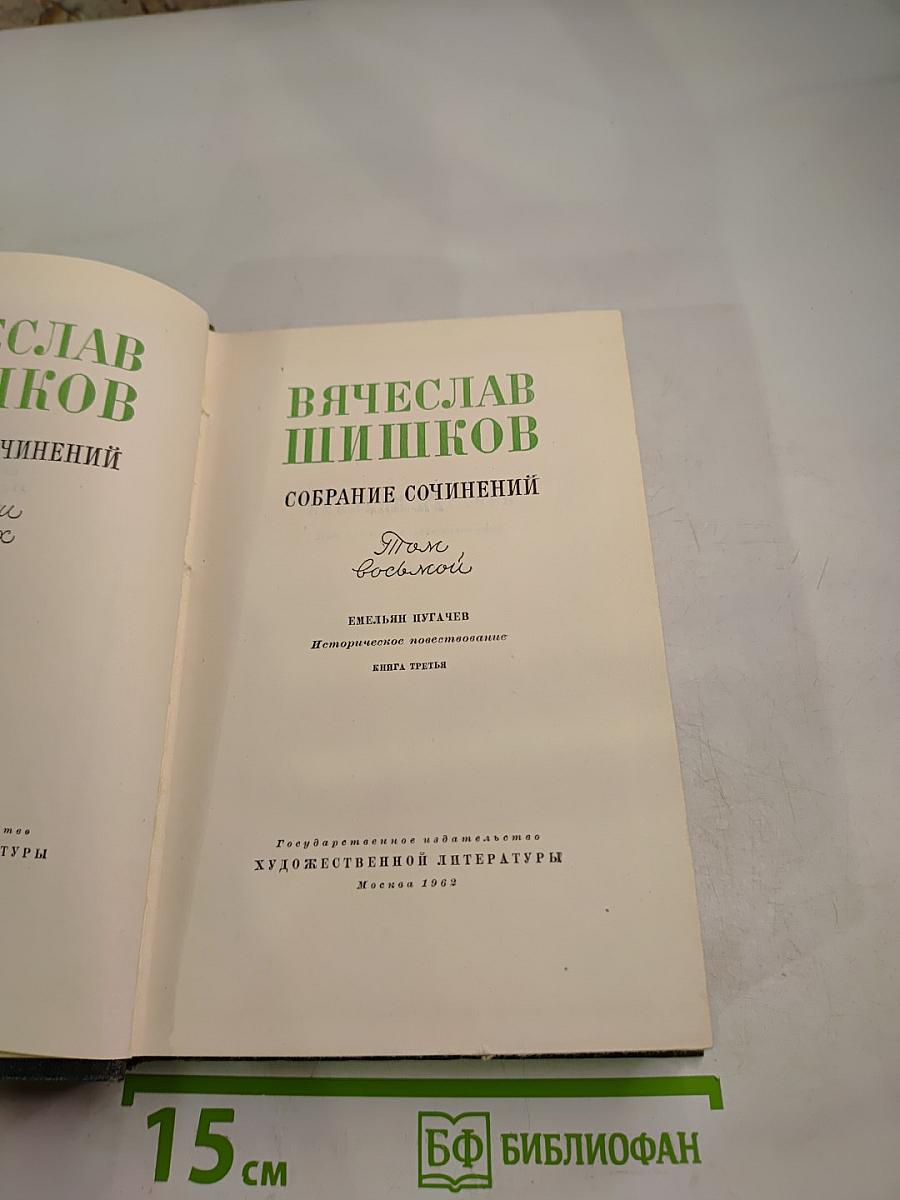Собрание сочинений. Том восьмой. Емельян Пугачев. Историческое повествование. Книга третья
