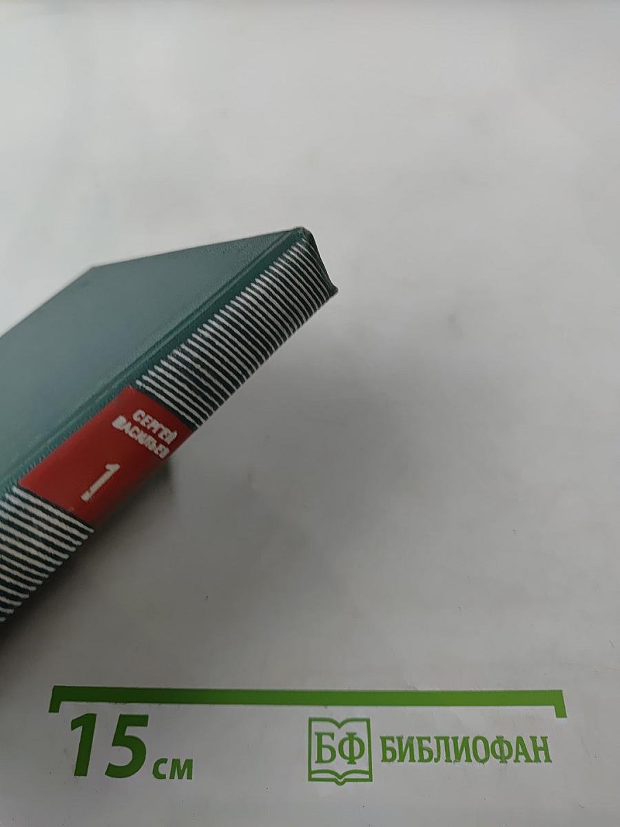 Том первый. Стихотворения, песни, сатира