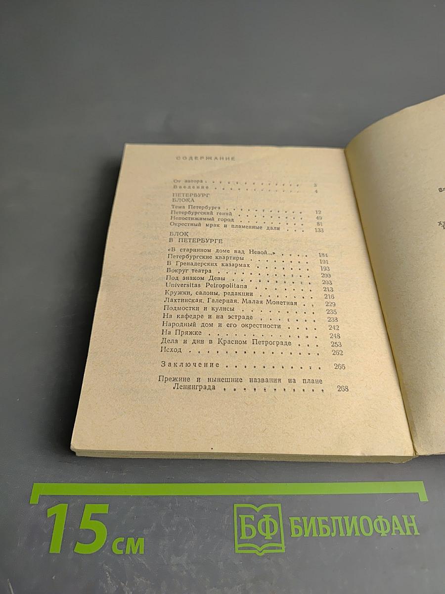 Поэт и город: Александр Блок и Петербург