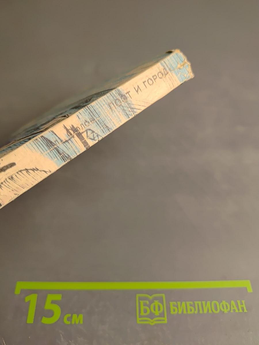 Поэт и город: Александр Блок и Петербург