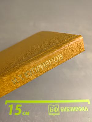 Судьба поэта (Личность и поэзия Максимилиана Волошина)