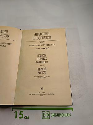 Собрание сочинений. Том второй: Повесть о братьях Тургеневых. Черный консул