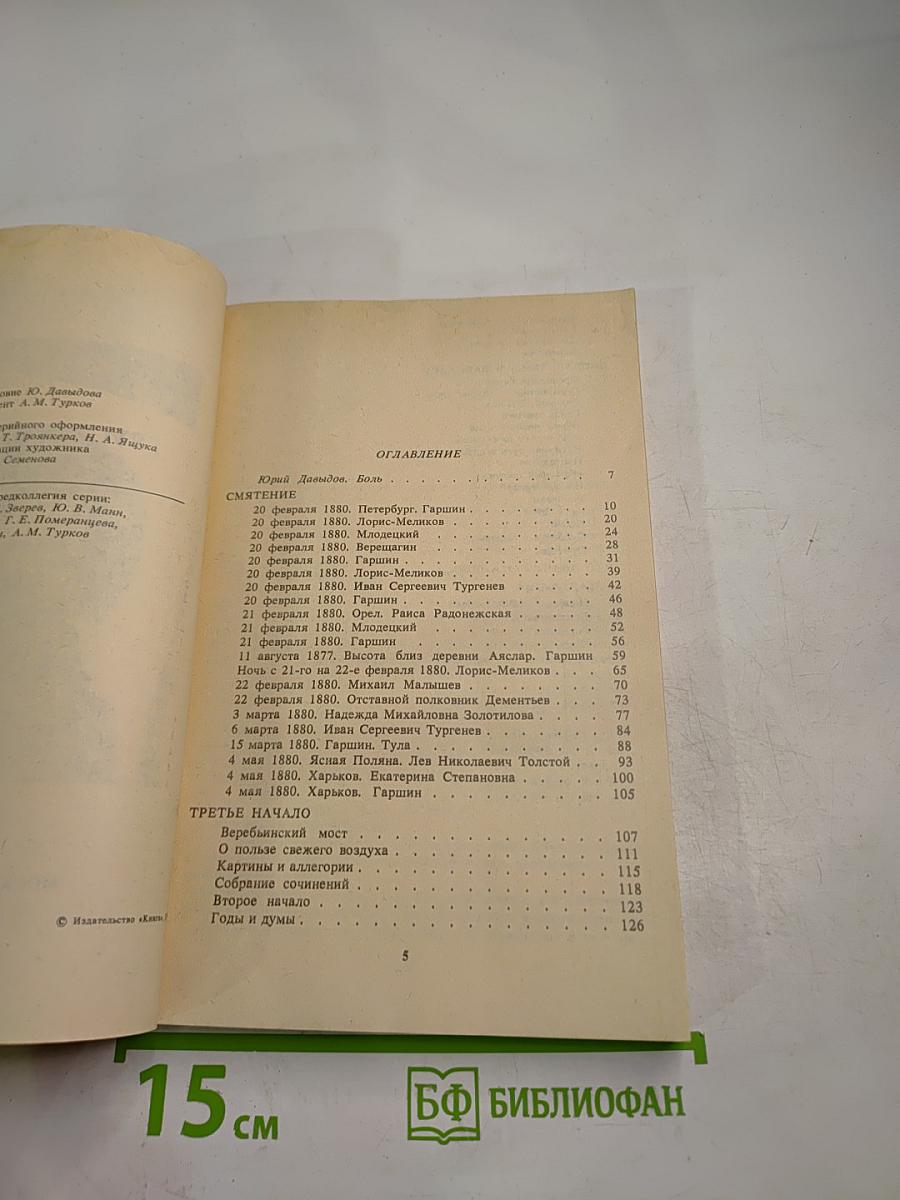 Грустный солдат, или Жизнь Всеволода Гаршина