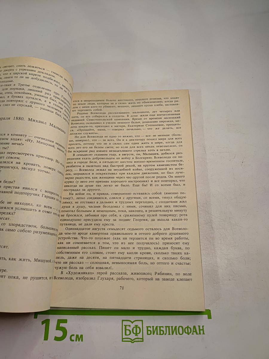 Грустный солдат, или Жизнь Всеволода Гаршина