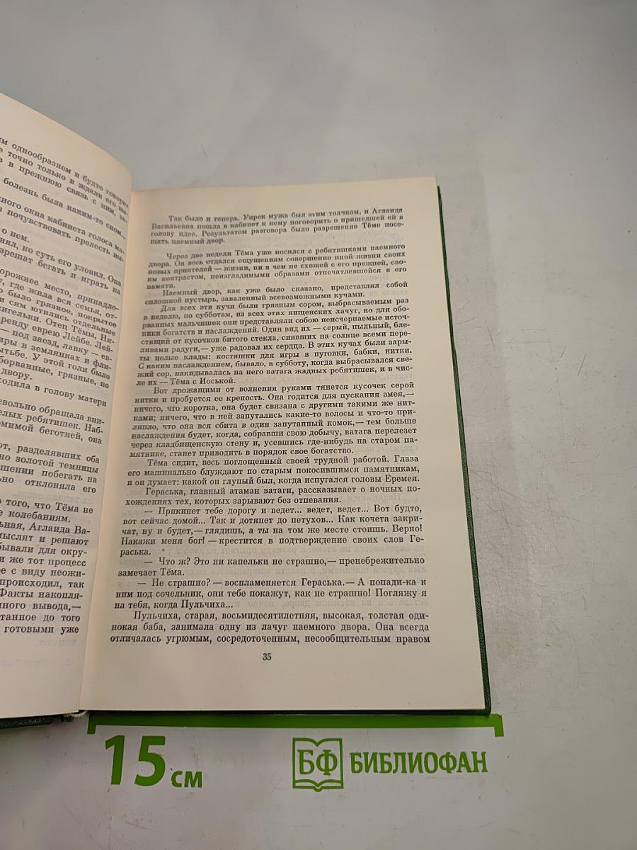 Детство Тёмы. Гимназисты.